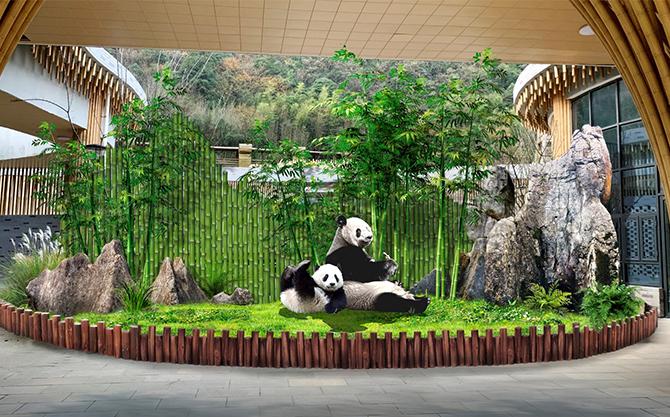 广安华蓥山大熊猫科普宣教馆